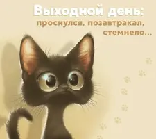IMG_20211119_174234_377.webp