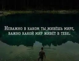 IMG_20211119_174510_031.webp