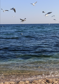 IMG_20211121_130310.webp