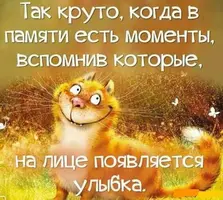 14e9afd37dc5a6f84688514f513629f4.webp