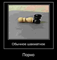-5247163066397866297_120.webp