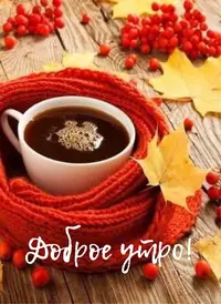 02DC19A0-6192-4293-952F-88D19C86AFE4.webp