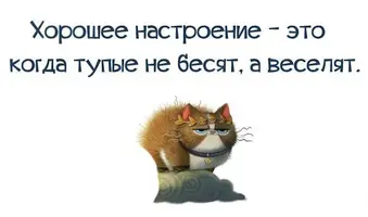 2598496078.webp