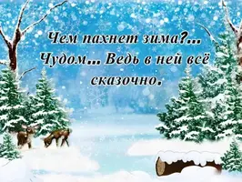 tsitaty_pro_zimu_7.webp