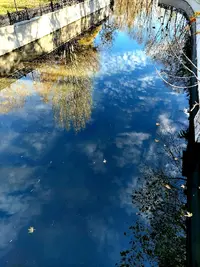 20211121_141230.webp
