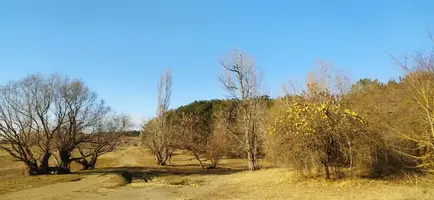 IMG-20211121-WA0012.webp