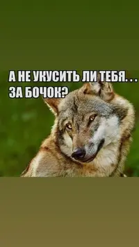 vlasov_ay999_20211121_3.webp