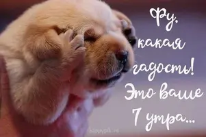c36375a3417cabf79b843402717f3b0a.webp