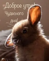 dobroe_utro_tut_20211123_1.webp