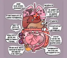 0C3C708B-D386-40C4-80FA-4DB7C30FC1DF.webp