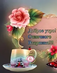 IMG-20211123-WA0004.webp
