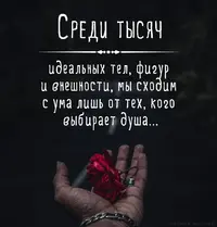KU_zxHrw-CY.webp