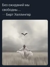 00234e71b48dd9f5feea8e7f1a94be78.webp