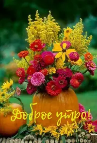 3728813F-6B1E-4132-B8C1-A1A811A6AA55.webp