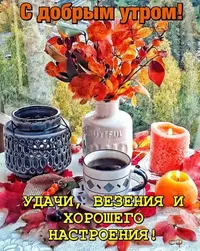 IMG-20211124-WA0004.webp