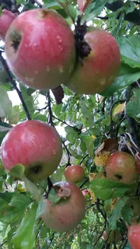 HDgY0FTXjuo.webp