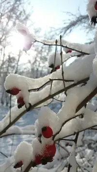 p2rGKe8Lqfk.webp