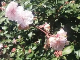 SLqdZjbVVH0.webp