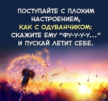 3-15.webp