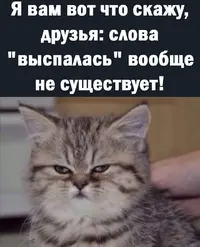 Screenshot_20211020_203444.webp