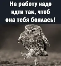 IMG_20211014_204330.webp