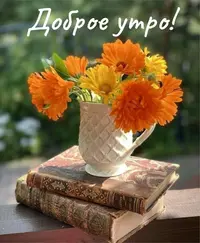98D33486-B821-4FEB-BE53-DA26A66A339B.webp