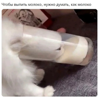 1638188802162289251.webp