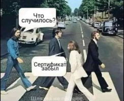 163820417217741066.webp