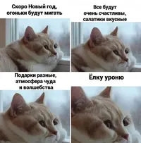 1635926765138952770.webp