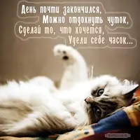 564492eccde3ca472803cd3391514ac6.webp