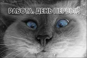perviy-den.webp