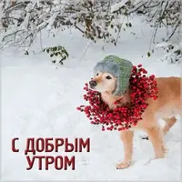 dobroe_utro_tut_20211202_1.webp