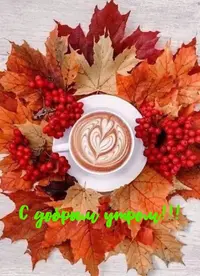 59E6C626-7BDB-4CA1-A069-2249F92F4917.webp