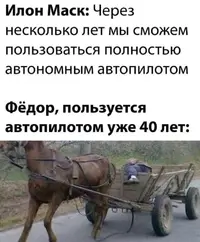 16199522.webp