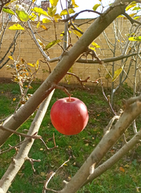 IMG_20211202_131849.webp