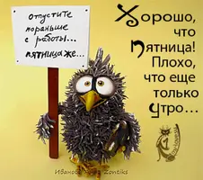 2021-12-03-06-59-44.webp