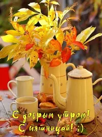 F7B2D2B4-A3EE-4023-8143-E6ACEBD6724C.webp