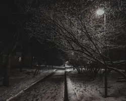 F008B018-4CA8-4946-B4C7-924E33364380.webp
