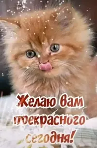 IMG-20211203-WA0004.webp
