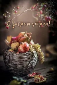 C4673071-4F51-4537-92EC-B9932322CE70.webp