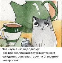 Screenshot_20211204_195214.webp