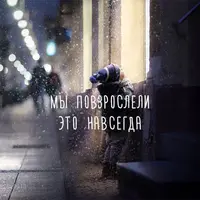 8864336.webp