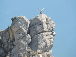 DSCN2739.webp