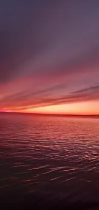 IMG-1f07a66e25a12c0d1d22d7ba03977148-V.webp