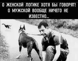Без названия (1).webp