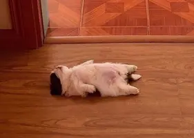 Screenshot_20211022_115206.webp