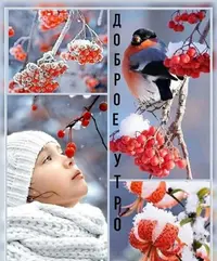 IMG-20211206-WA0022.webp