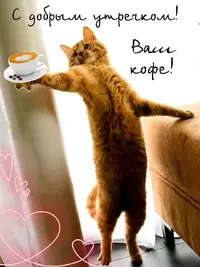 a4806cb81a25763d94dce1da06f4885b.webp
