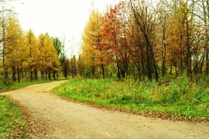 IMG-20211206-WA0027.webp