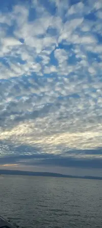 IMG-20211207-WA0000.webp